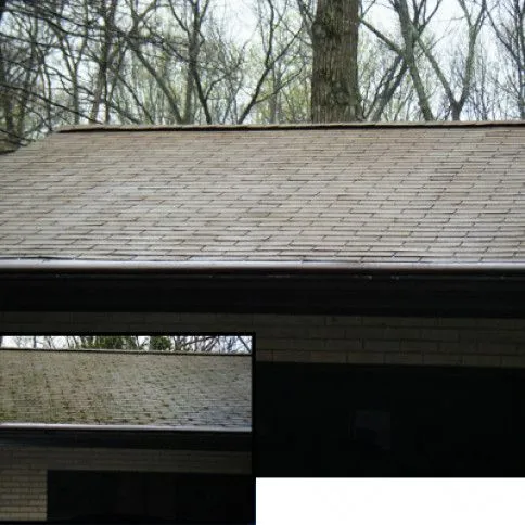 Asphalt shingle roof shown before and after — algae streaks above, cleaned shingles below