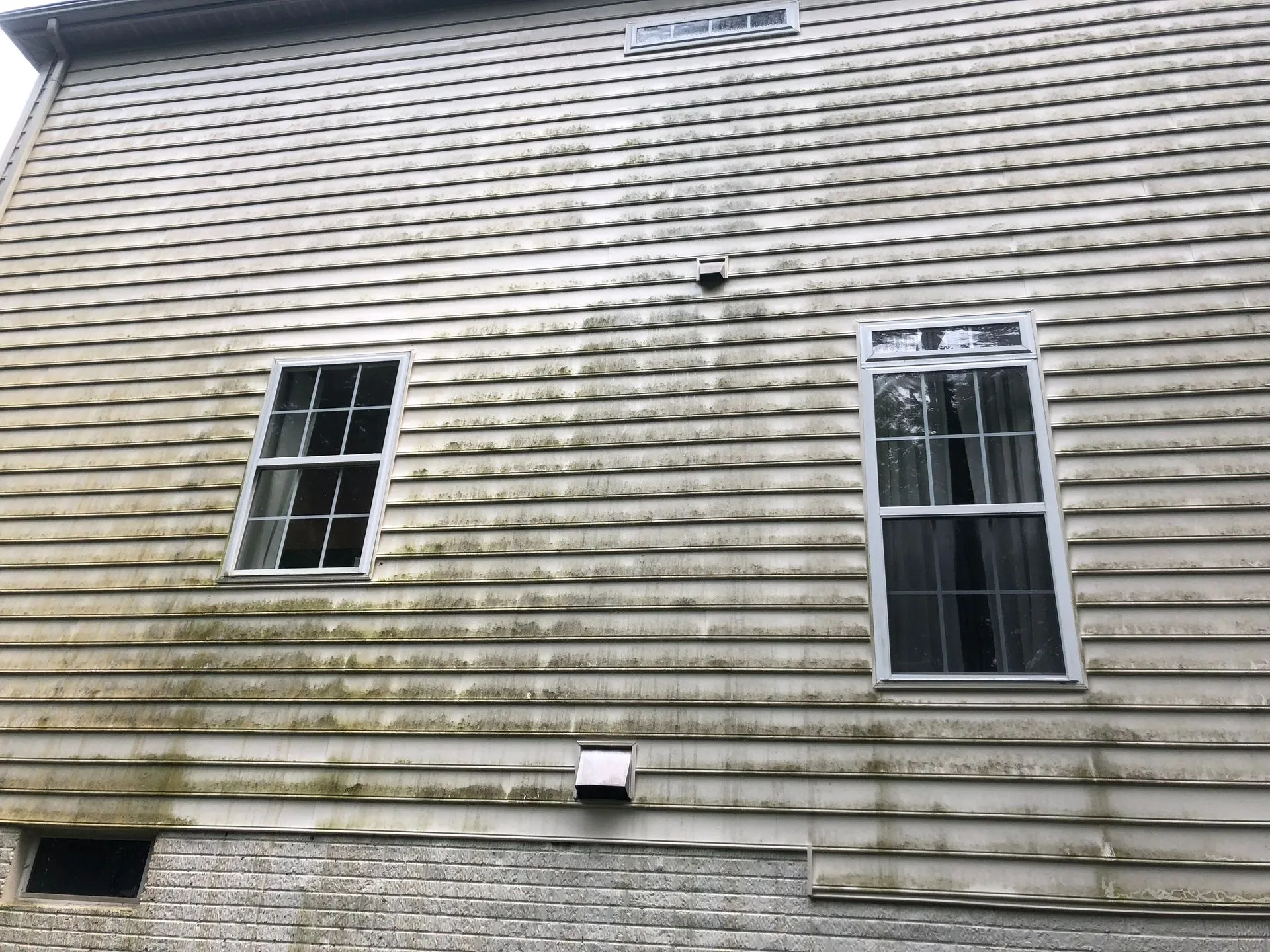 White clapboard siding heavy with green mildew streaks before soft wash