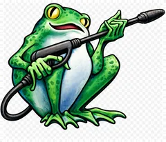 George's Power Washing frog mascot — green watercolor frog with bright yellow eyes, holding a pressure-wash wand in both hands