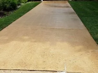 Commercial storefront sidewalk pressure-washed, autumn mums in planters
