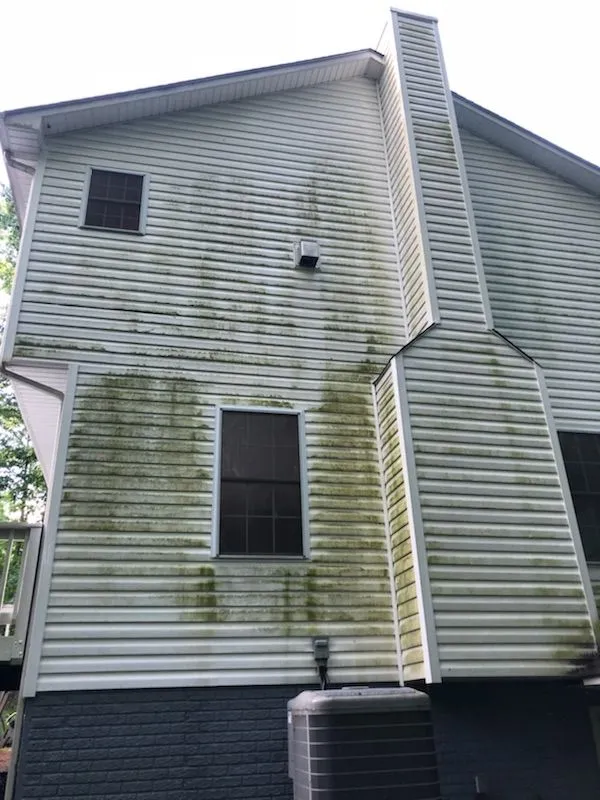 Townhouse exterior with dramatic green algae growth across siding