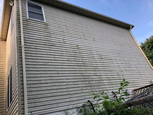 Tan vinyl siding with green algae creep along lap edges
